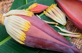 Apa Manfaat Jantung Pisang Untuk Ibu Menyusui